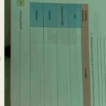 Captura-de-pantalla-2025-03-03-214136.png